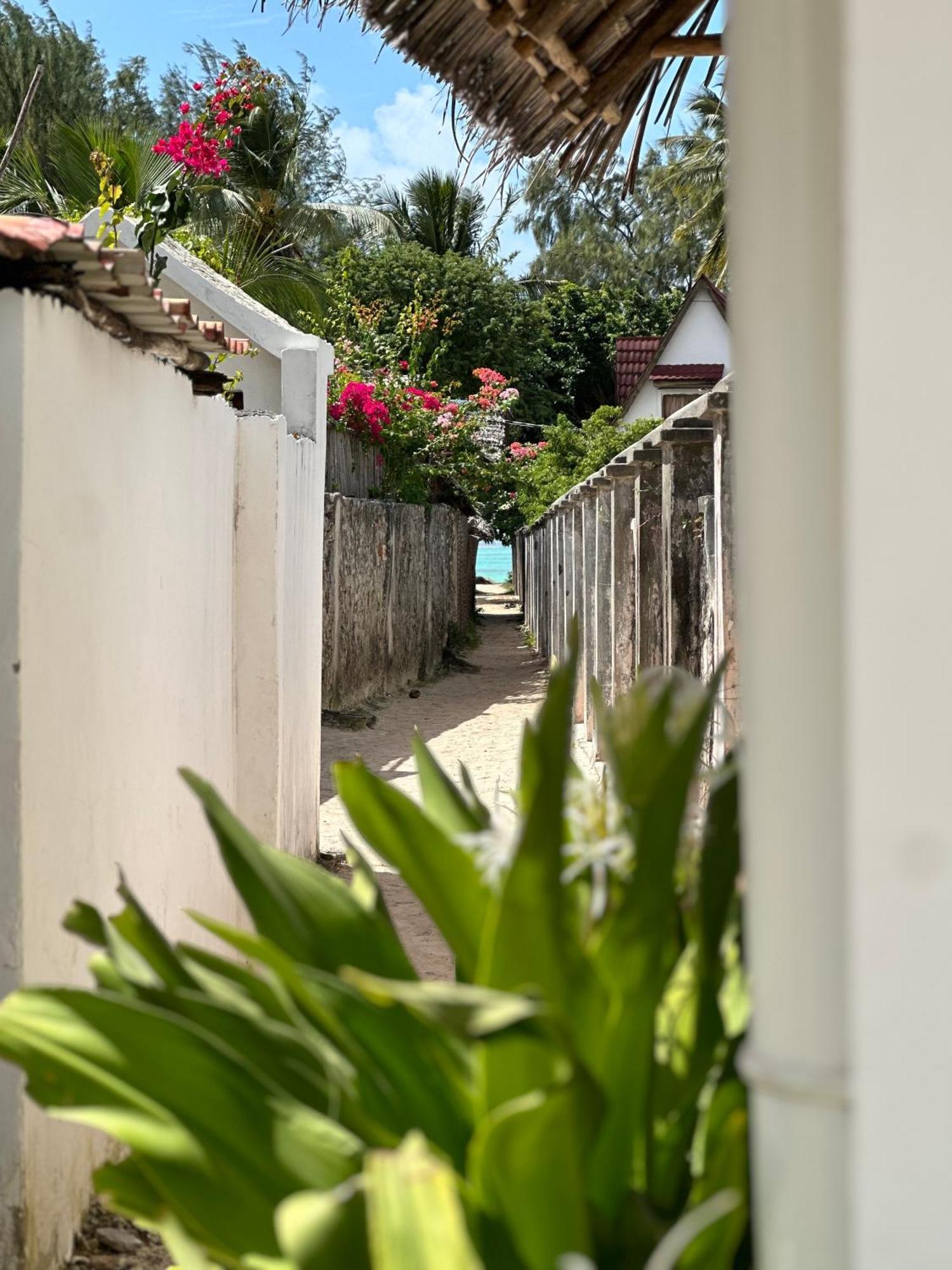 Mlango Paje House II Bed & Breakfast ภายนอก รูปภาพ